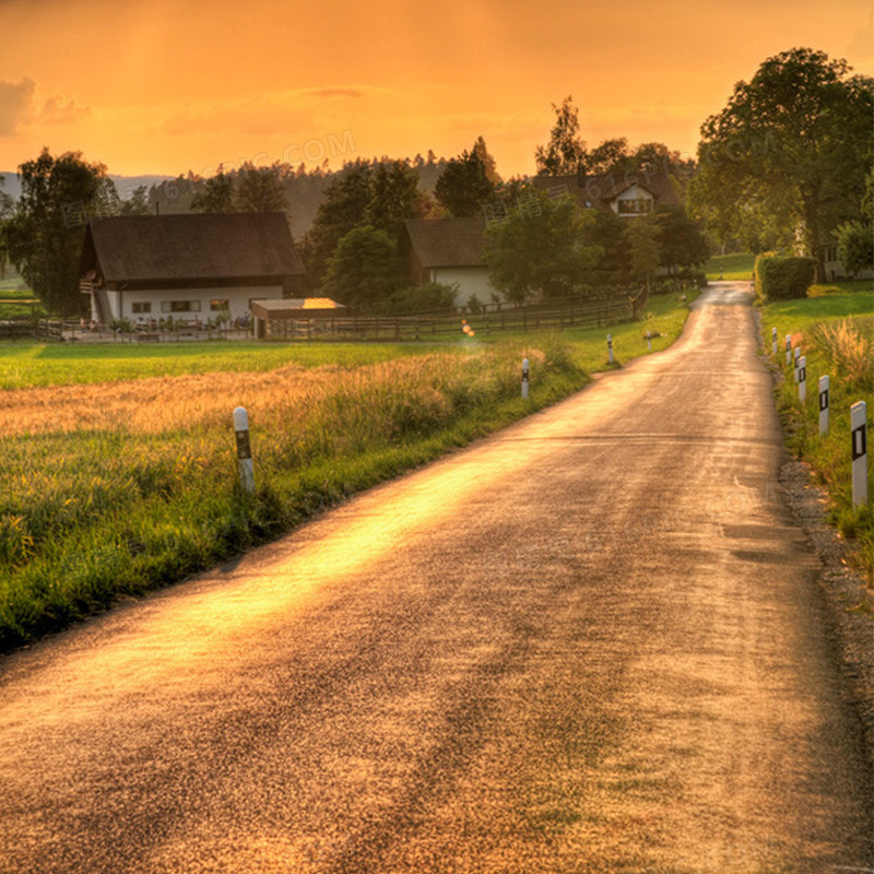 金黄色的夕阳与乡间小路