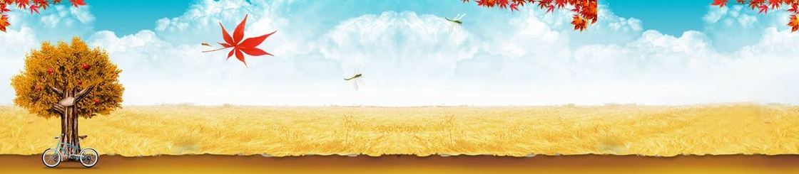 秋季服饰唯美背景banner