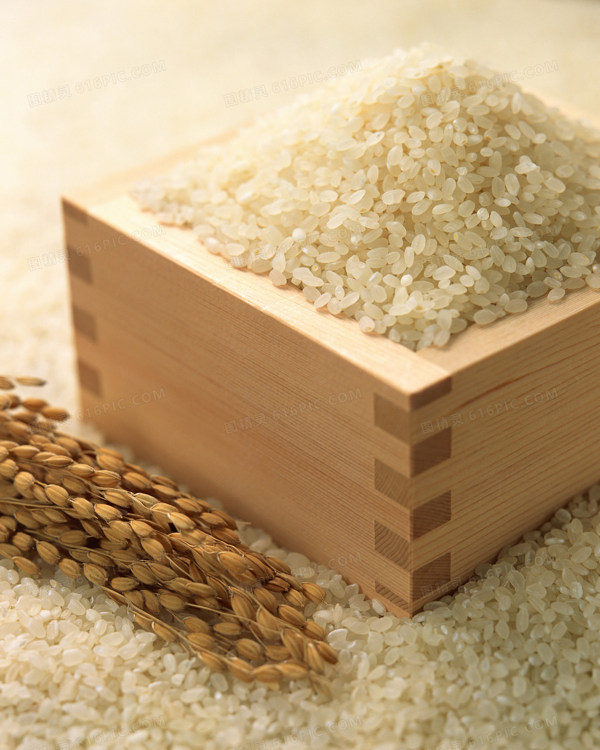 高清大米粮食摄影