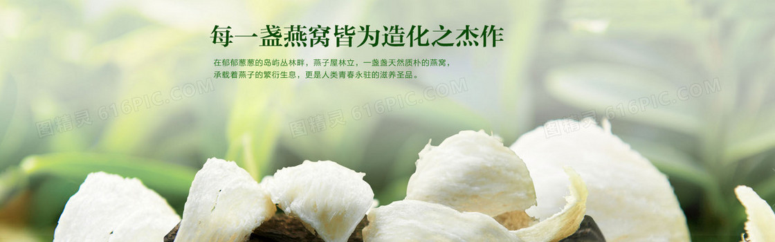 绿色燕窝banner