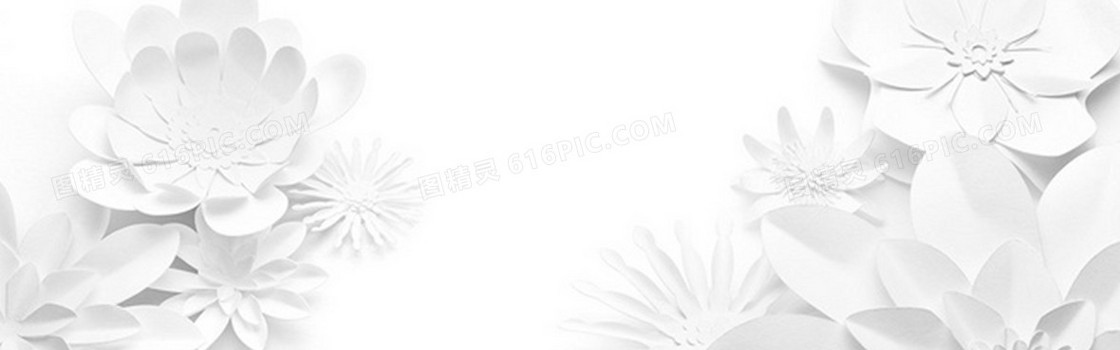 白色花朵纹理质感图