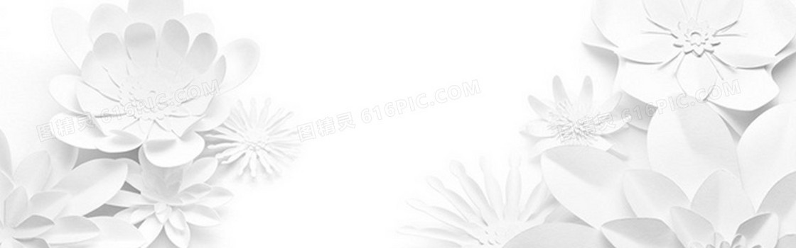 白色花朵纹理质感图