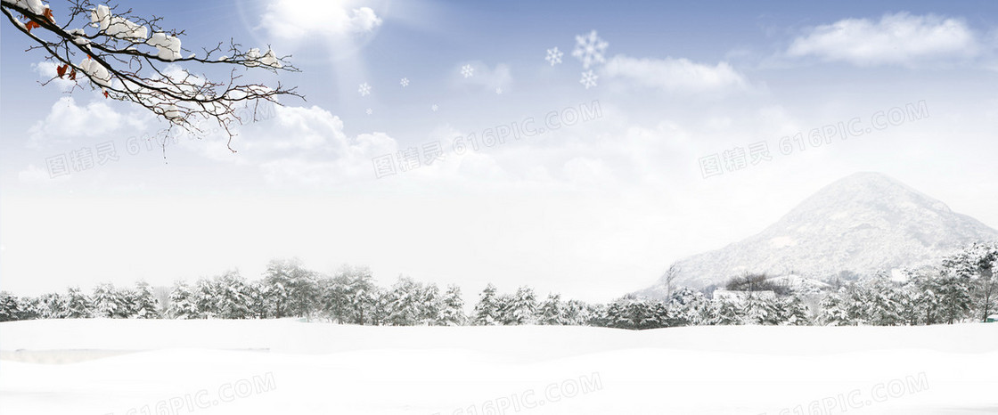 冬日 梅花 大雪 阳光 雪山