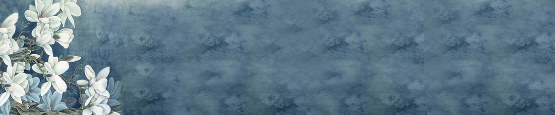 淘宝  简约  海报banner 背景