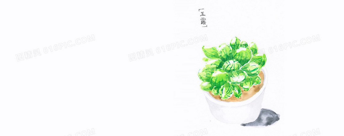 日系文艺清新手绘多肉植物背景
