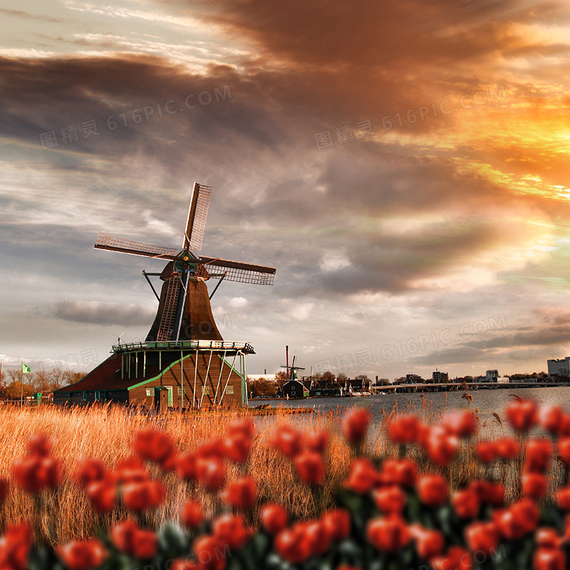 荷兰风车背景