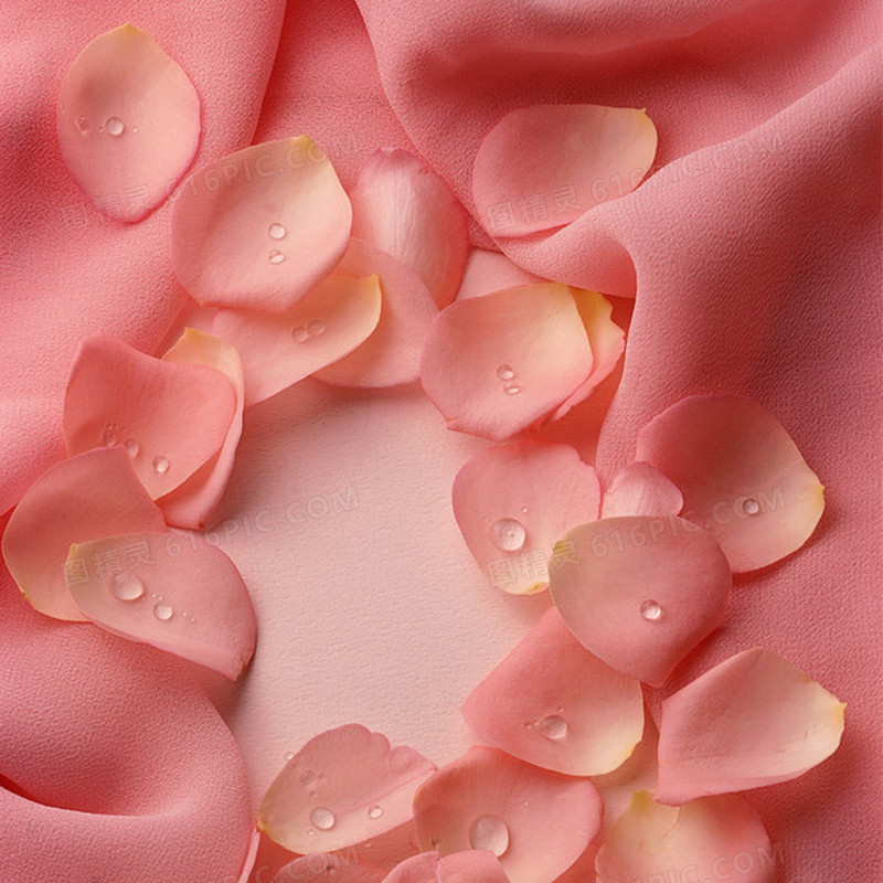 浪漫粉色花瓣背景图