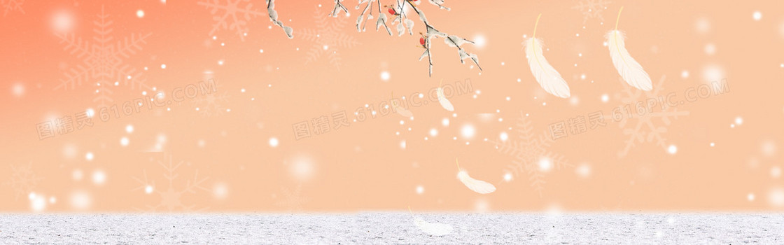 淘宝冬季羽绒服背景banner