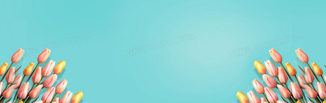 女士高跟鞋蓝色唯美郁金香背景banner