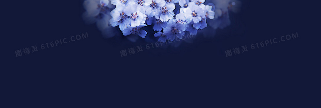 梦幻花朵背景banner