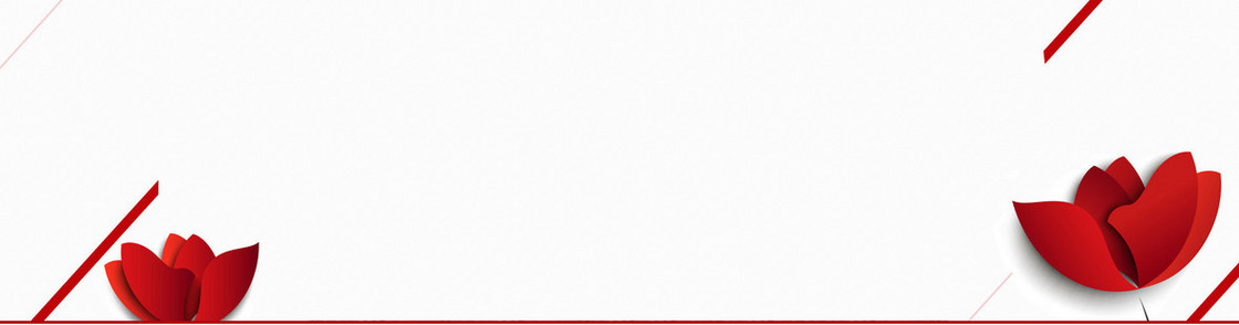 花  玫瑰 背景banner
