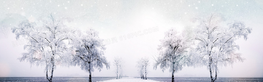冬季雪景树林淘宝女装羽绒服文艺范背景banner