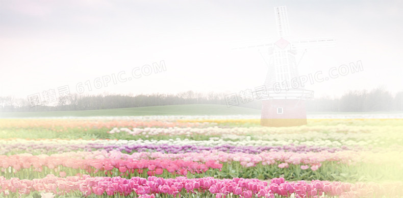 花瓣浪漫背景