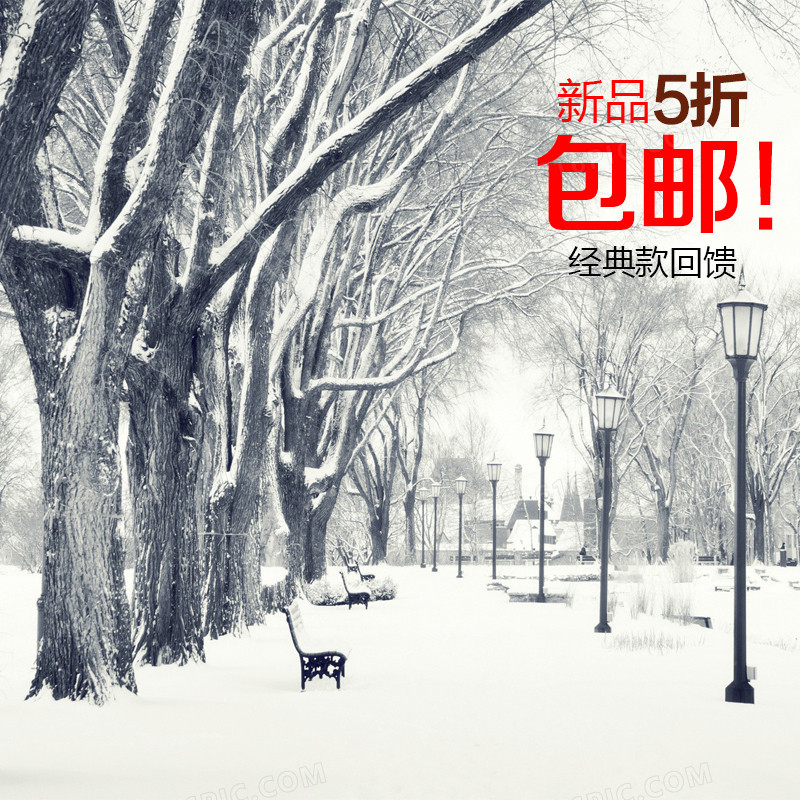 冬季雪景