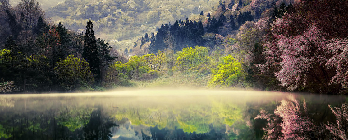 林间美景背景