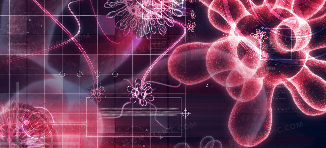 高分子生物背景