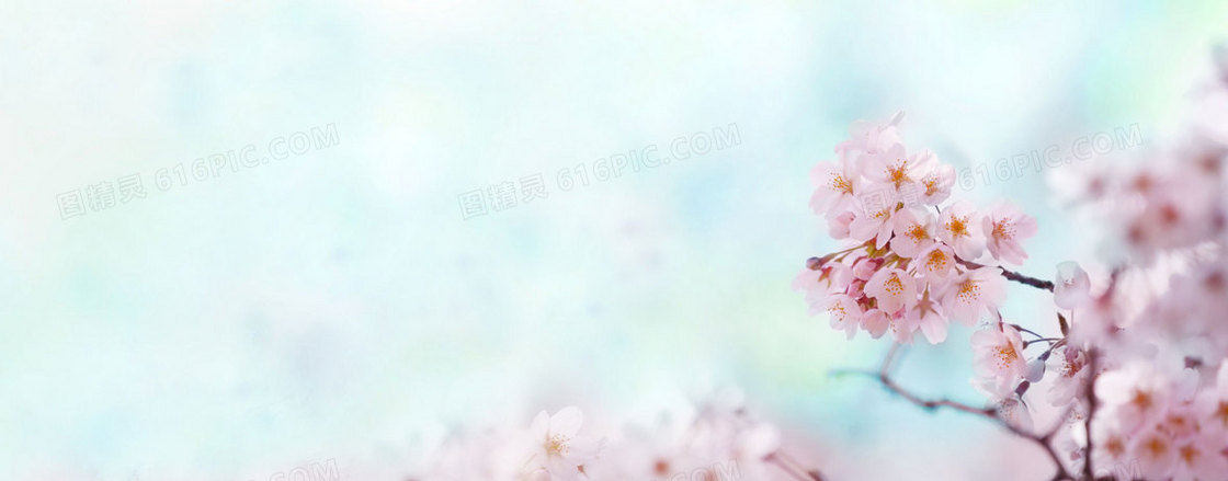 桃花背景