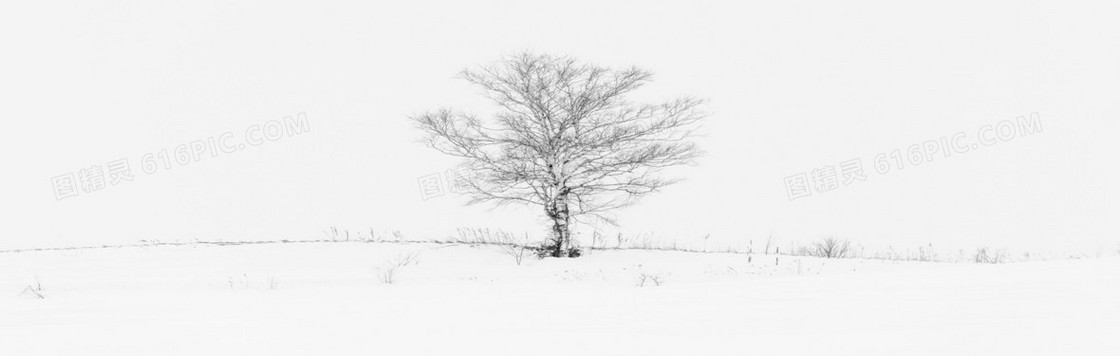 简约素描白雪枯树背景