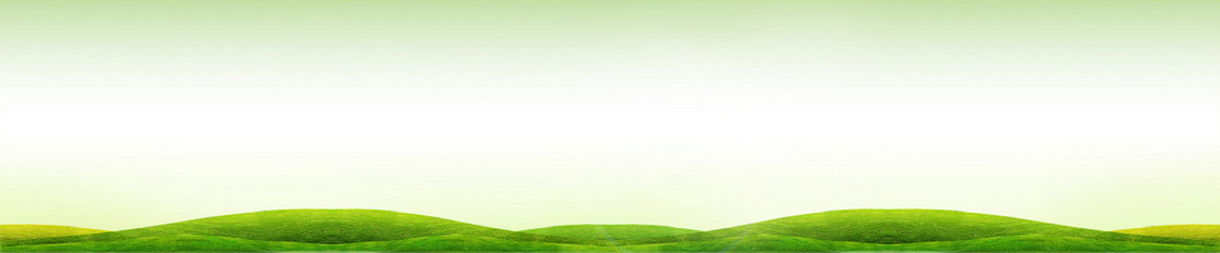 官网焦点图banner