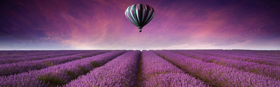 紫色浪漫薰衣草海洋淘宝海报背景