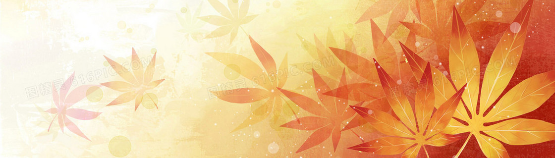 高清炫彩花卉banner