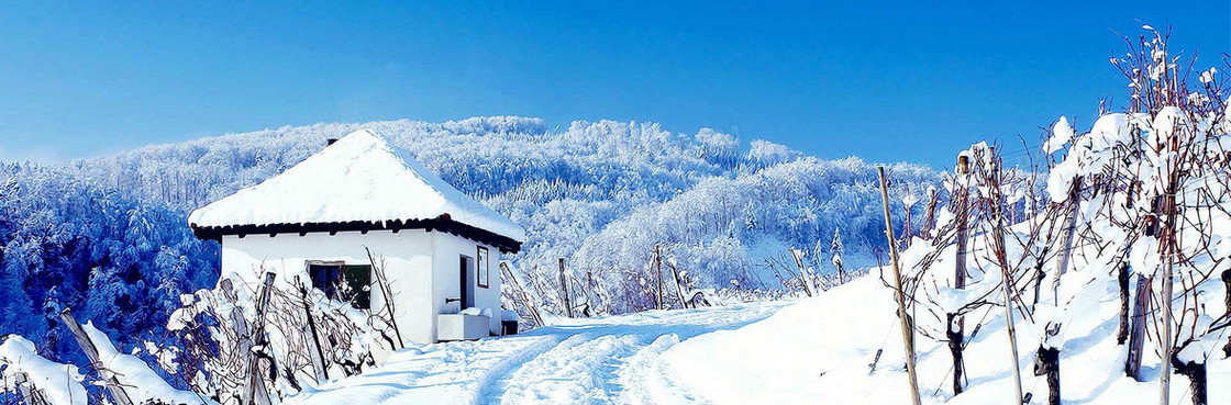 冬天雪景banner创意设计