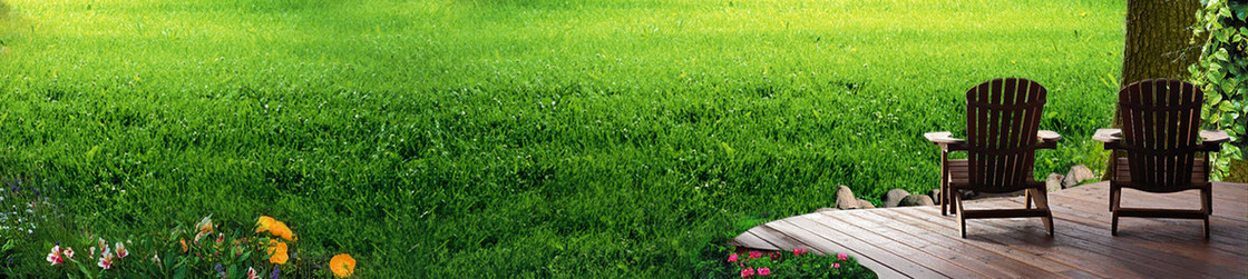 家居清新草丛座椅背景banner