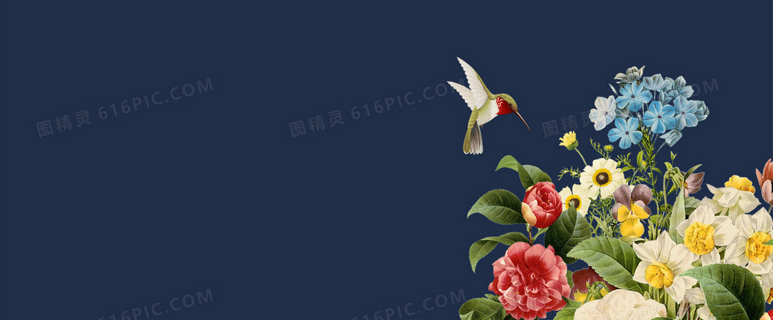 清新花鸟背景