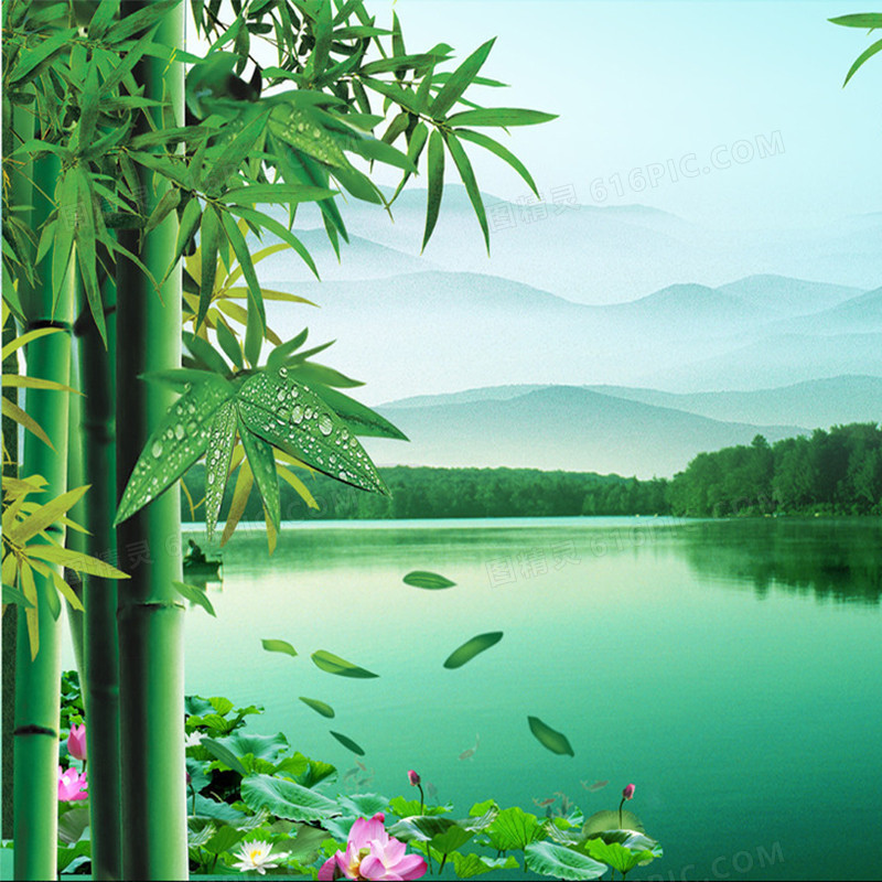 自然竹子背景图