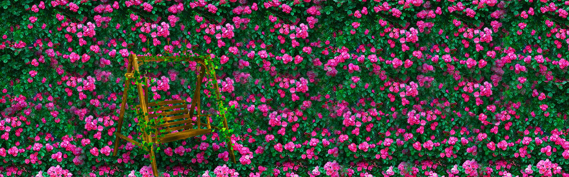 花墙背景
