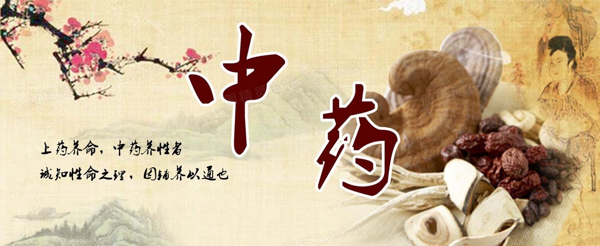 banner1920 × 520jpgpsd中医中药古代医者采药背景jpgpsd铁皮石斛