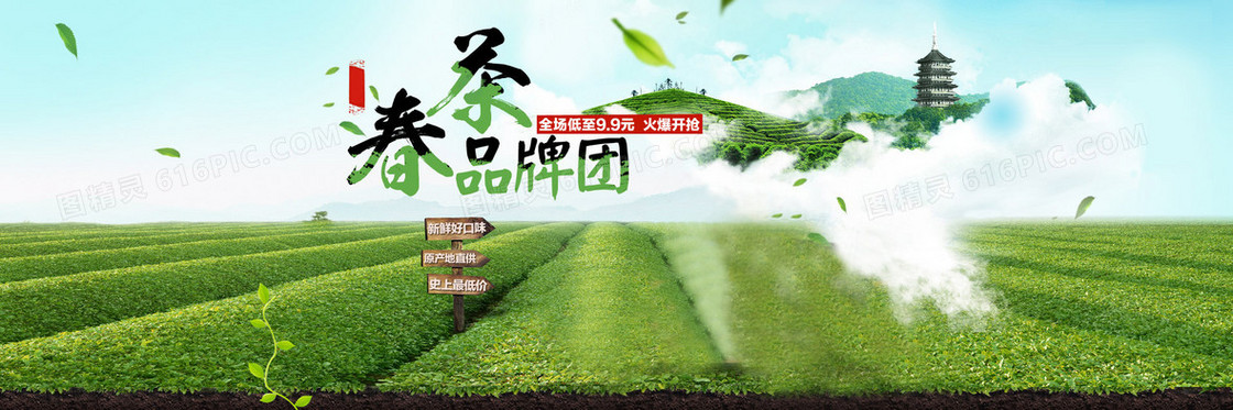 茶园背景