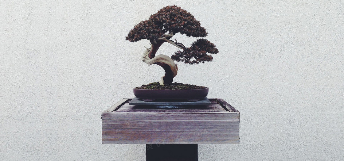 摄影背景