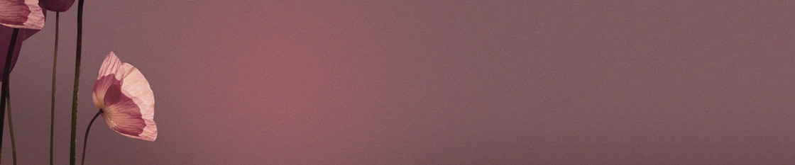 女装banner