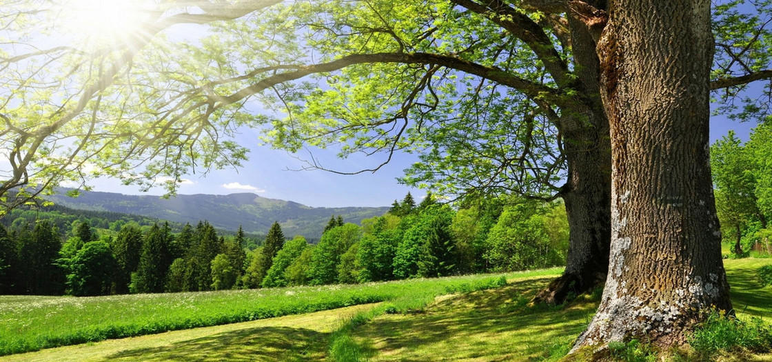 淘宝背景图