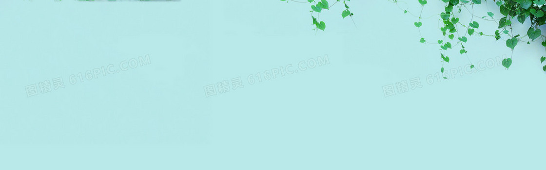 兰花淘宝banner