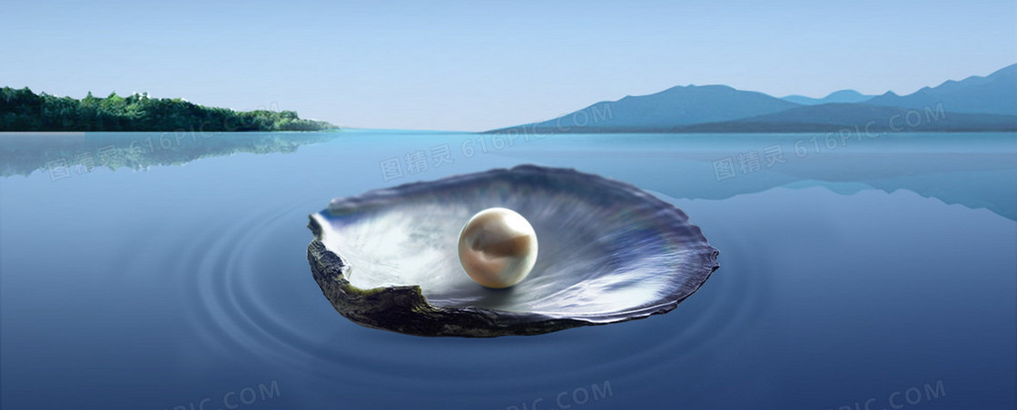 珍珠贝壳背景banner