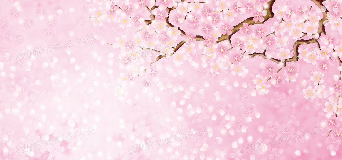 浪漫花朵背景
