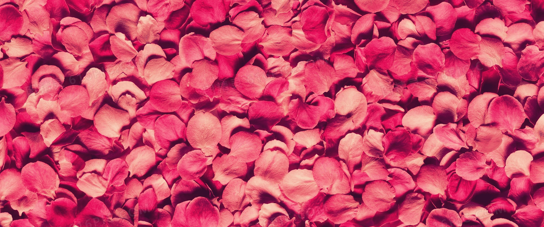 花瓣
