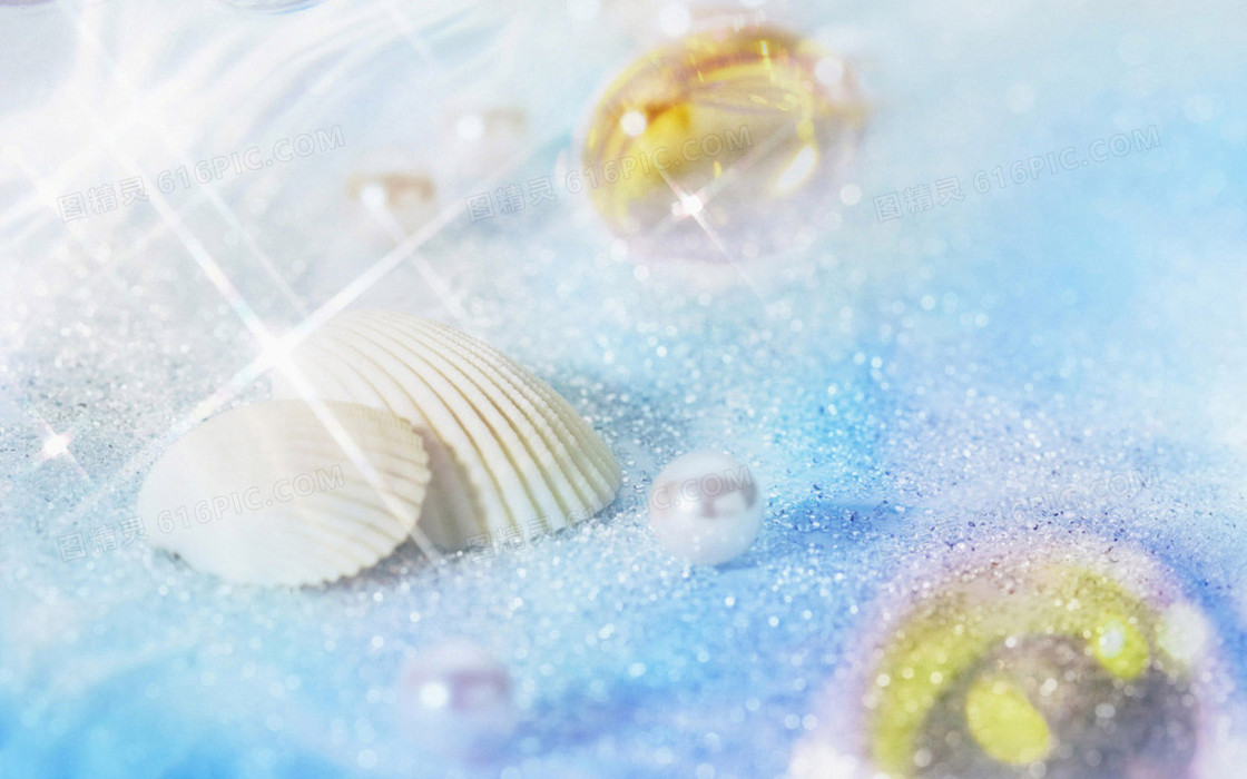 贝壳海水素材 清新素材