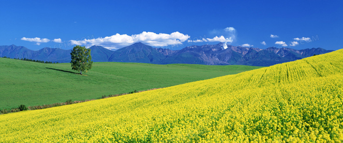 淘宝海报背景背景图片下载_1920x800像素jpg格式_编号vjqfleog1_图