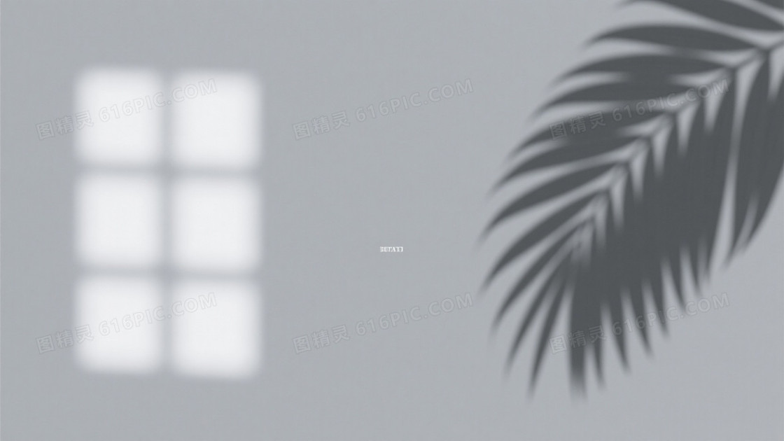 柔和灰调几何光斑棕榈叶背景