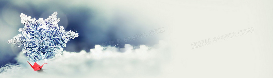 雪景
