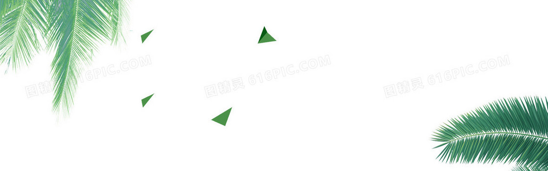 夏季热带植物树叶海报背景素材