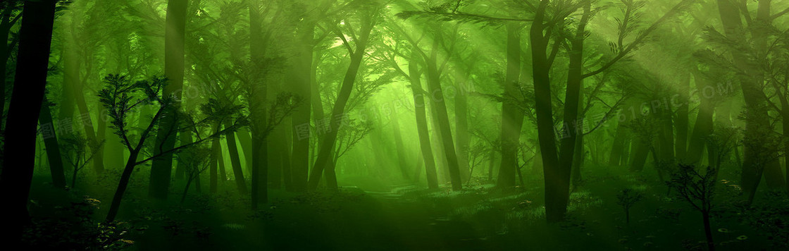 梦幻绿色森林背景