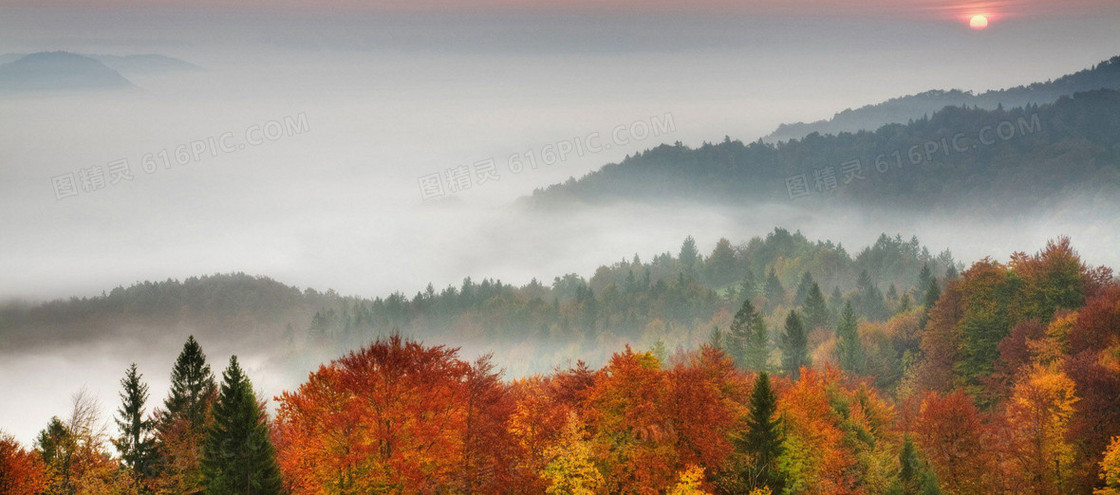 秋季唯美山林枫叶背景