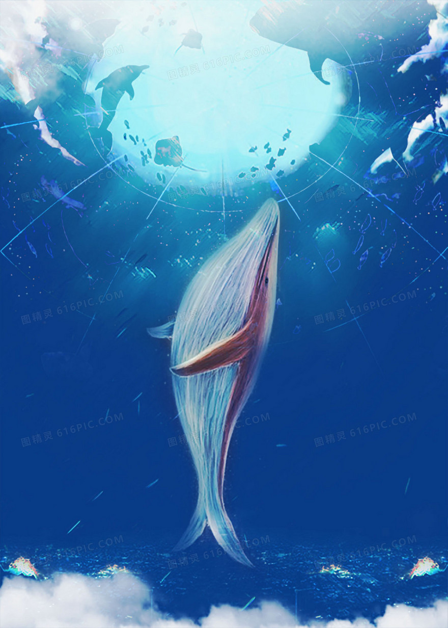 清新鲸鱼海报