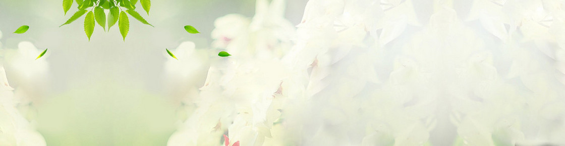 淘宝背景banner