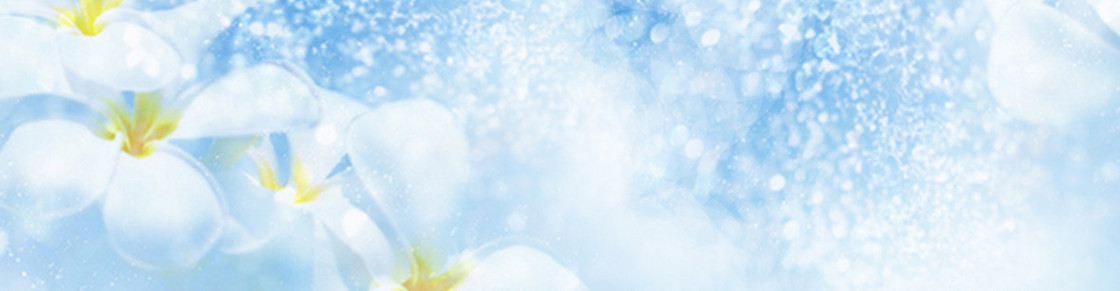 清新背景banner