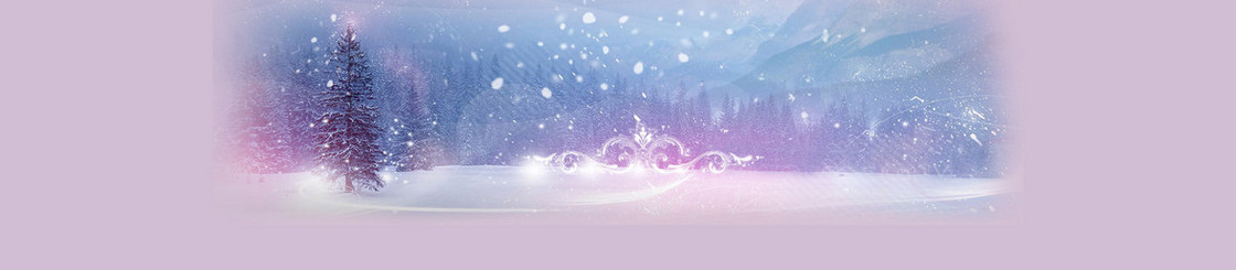 冬季雪花飞舞松树背景banner
